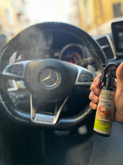 Парфюм за кола "Arancio"